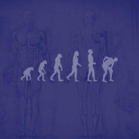 evolucion humana doctor cosamalon evolucion humana doctor cosamalon