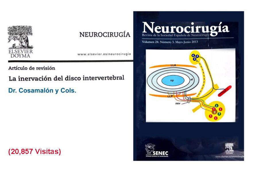 Publicaciones en revistas científicas de neurocirugía Publicaciones en revistas científicas de neurocirugía